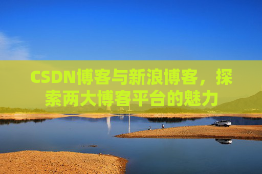 CSDN博客与新浪博客，探索两大博客平台的魅力